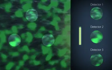 Multi-path interferometry QTec®